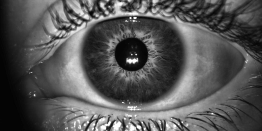 Fotografía en blanco y negro de un ojo, con detalle del iris y las pestañas.